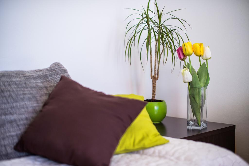 Apartment Dominik Podstrana Kültér fotó